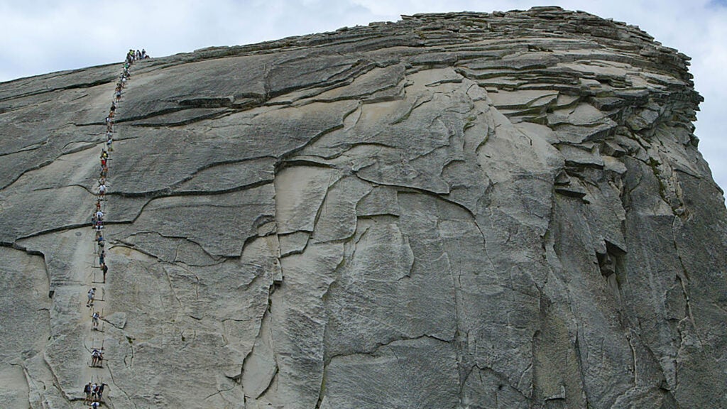 Alex Honnold Wants to Keep Half Dome’s Cable Route Open