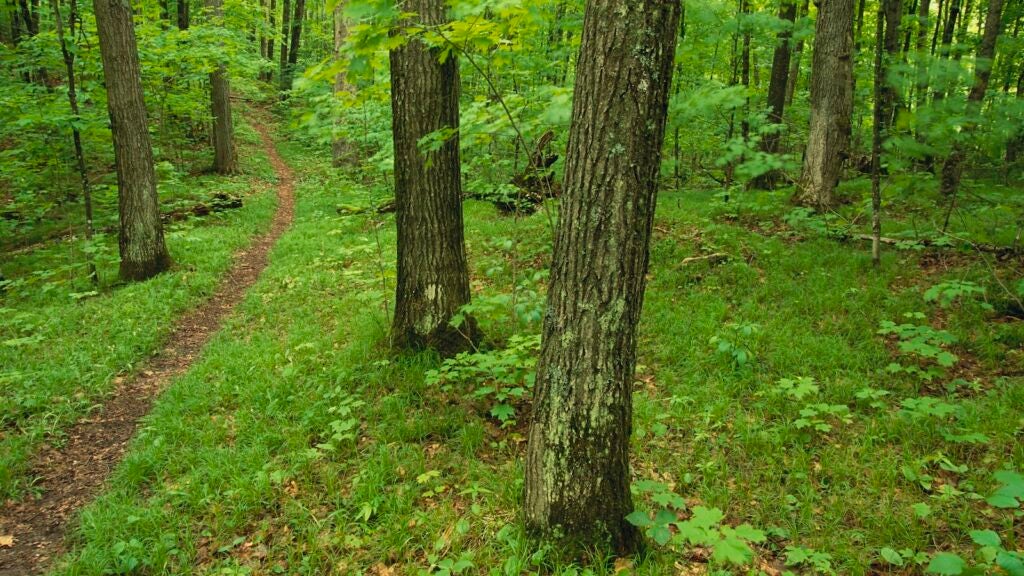 I Found Home in Wisconsin on the North Country Trail