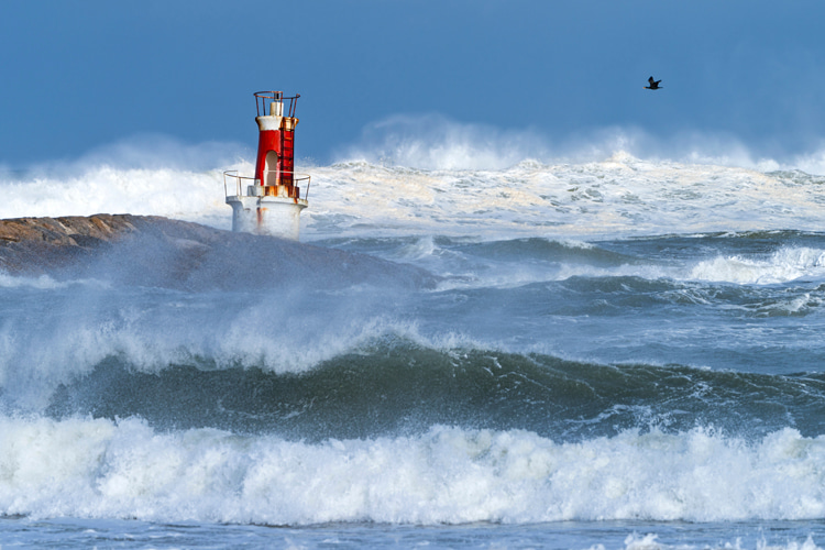 What is a king tide?